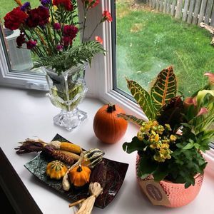 Meet your Posher, Zainab